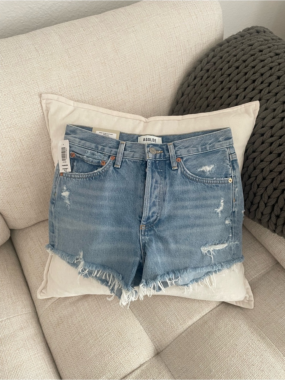 NWT AGOLDE Parker Vintage Cut Off Short Swapmeet